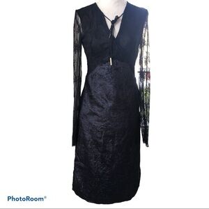 NWT LIN Edition Limit Sheer Lace and Velvet Dress